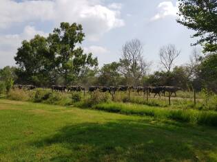 Campi Liberi a Castel Volturno – Dall’1 al 7 luglio 2018