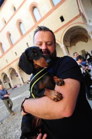 Human Dog 2019 nuovo grande successo per l'inaugurazione (27)