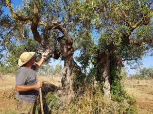 E!state Liberi il primo campo del 2017 - 12 giugno 2017 (16)