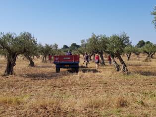 E!state Liberi il primo campo del 2017 - 12 giugno 2017 (12)
