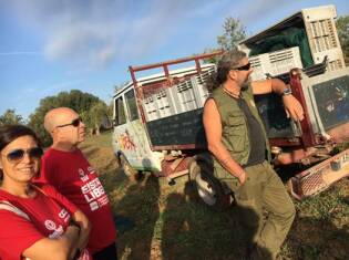 Campi Liberi - 17/23 ottobre 2016 - oro verde