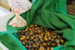 dall’olio all’olio a Bareggio - 14 ottobre (14)