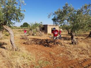 E!state Liberi il primo campo del 2017 - 12 giugno 2017 (20)
