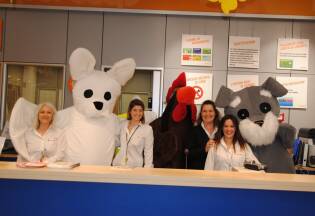 Fortunelli Show - dal 7 aprile al 6 maggio 2018 (8)