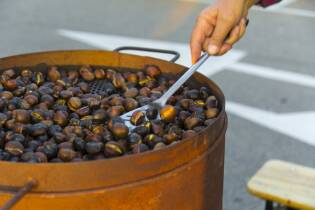 dall’olio all’olio a Bareggio - 14 ottobre (16)