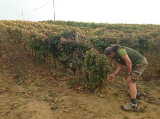 Campi Liberi – 17/23 ottobre 2016