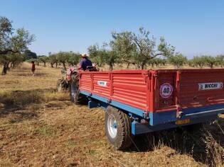E!state Liberi il primo campo del 2017 - 12 giugno 2017 (11)