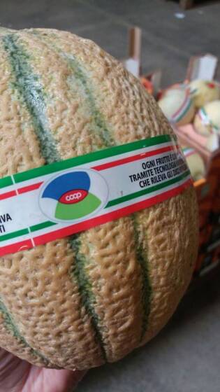 Visite ai fornitori - Giugno 2017 - Francescon 1