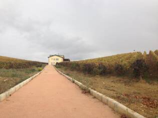 Campi Liberi – 17/23 ottobre 2016