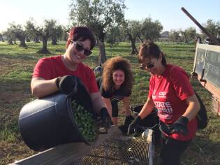 Campi Liberi – 17/23 ottobre 2016