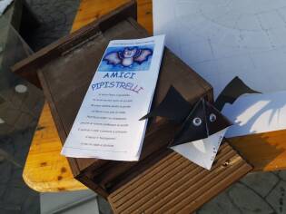 Coop per il futuro 16