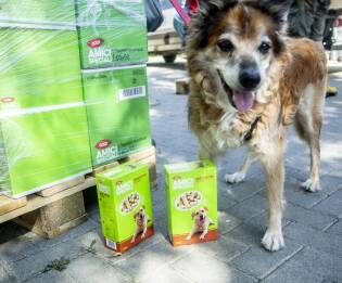 Alimenta l'Amore sostiene il Parco Canile Milano - 29 luglio 2019 (5)