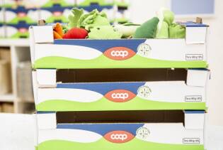 coop70_valoriinscatola_triennalemilano04