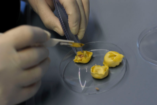 visista al laboratorio coop 1