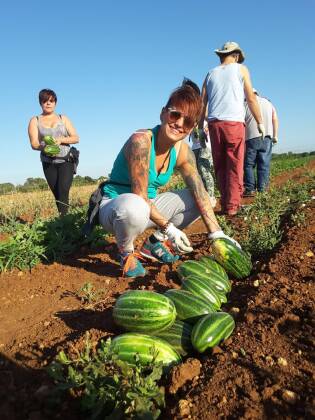 Campi Liberi luglio 2017 - Puglia (34)