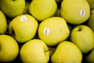 Nuova apertura il supermercato di prossimità di Treviglio (11)