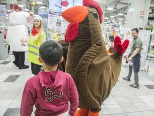 Fortunelli Show - dal 7 aprile al 6 maggio 2018 (48)