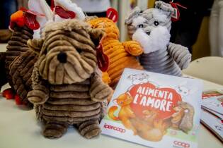 Tanti nuovi Fortunelli per rallegrare i bambini in ospedale - 10 e 14 Maggio 2019 (4)