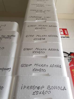 Campi Liberi a Castel Volturno – Dall’1 al 7 luglio 2018 (18)