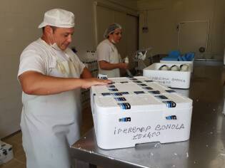 Campi Liberi a Castel Volturno – Dall’1 al 7 luglio 2018 (26)