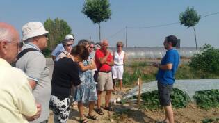 Visite ai fornitori - Giugno 2017 - Francescon 5