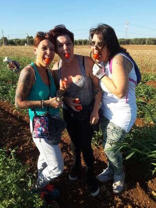 Campi Liberi luglio 2017 - Puglia (21)