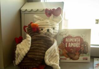 Quattromila Fortunelli al reparto pediatria dell'ospedale Sant'Anna (27)