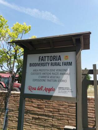 Visite ai fornitori - Giugno 2017 - Rosa dell'Angelo - Sagem 2