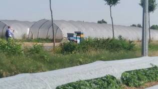 Visite ai fornitori - Giugno 2017 - Francescon 2