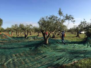 Campi Liberi – 17/23 ottobre 2016