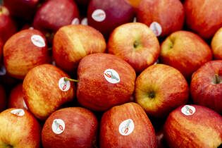 Nuova apertura il supermercato di prossimità di Treviglio (1)