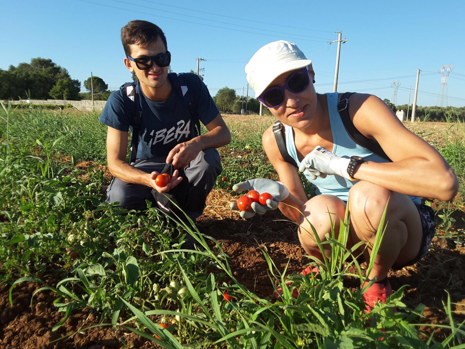 Campi Liberi luglio 2017 - Puglia (24)