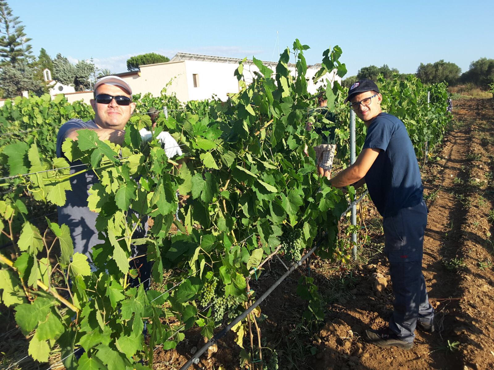 Campi Liberi luglio 2017 - Puglia (7)