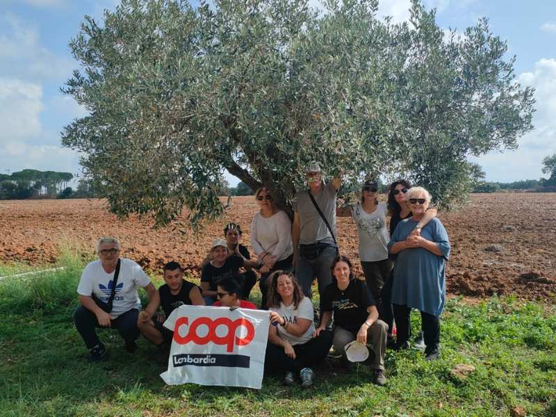 Campo Libera Terra Castelvetrano - ottobre 2024