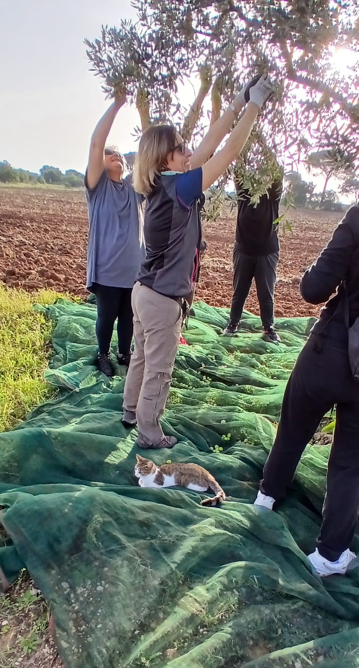 Campo Libera Terra Castelvetrano - ottobre 2024