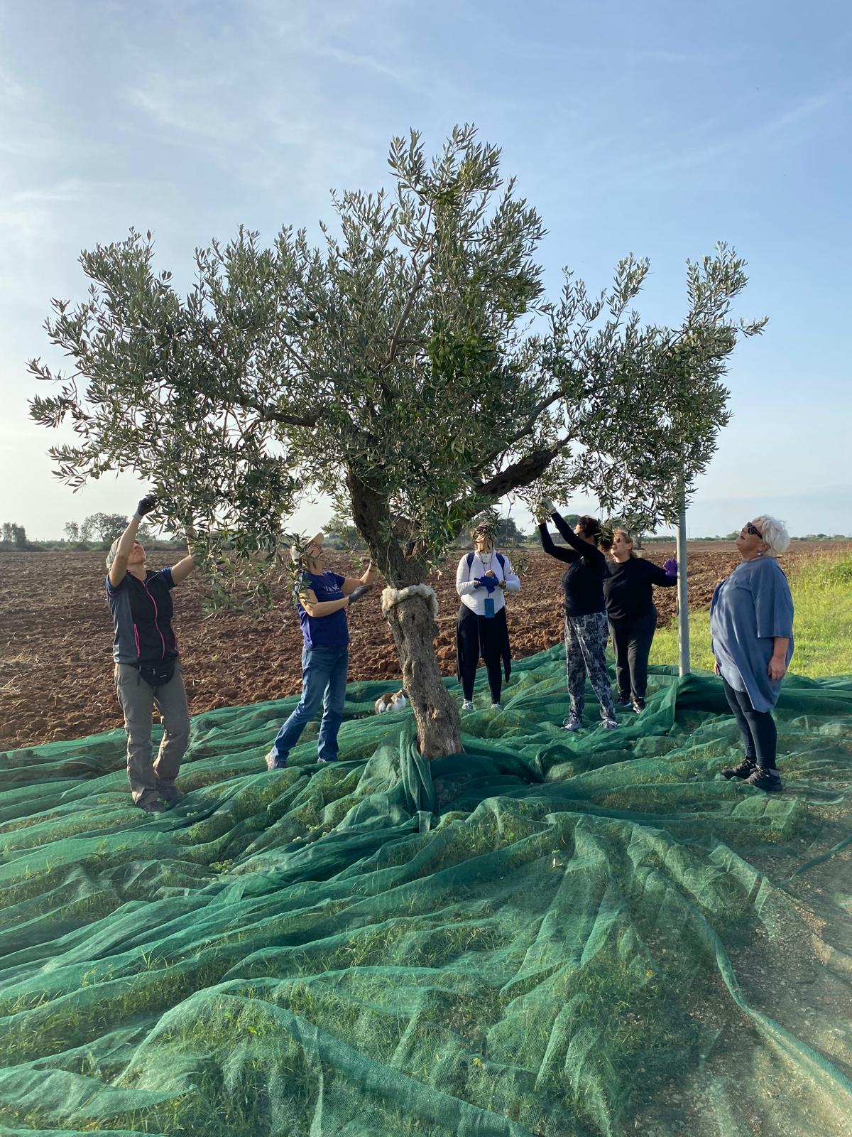 Campo Libera Terra Castelvetrano - ottobre 2024