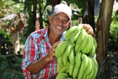 Banane-Rep.-Dominicana-Copyright-CLAC-Photographer-Jose-Garcia