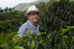 Caffe-Coop.-COOPELIBERTAD-COSTA-RICA-Copyright-CLAC