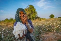 Cotone-Rapar-and-Dhrangadhra-Farmer-Producers-Company-Copyright-NAPP