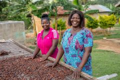 Lucy Twenewaa, 51, cocoa farmer and daughter, Abigail Nyarko, 27, photographed as they sun-dry cocoa beans on their compound in Abofrem, Western North Region-Ghana. October 11, 2021. Fairtrade/Max Havelaar/Francis Kokoroko