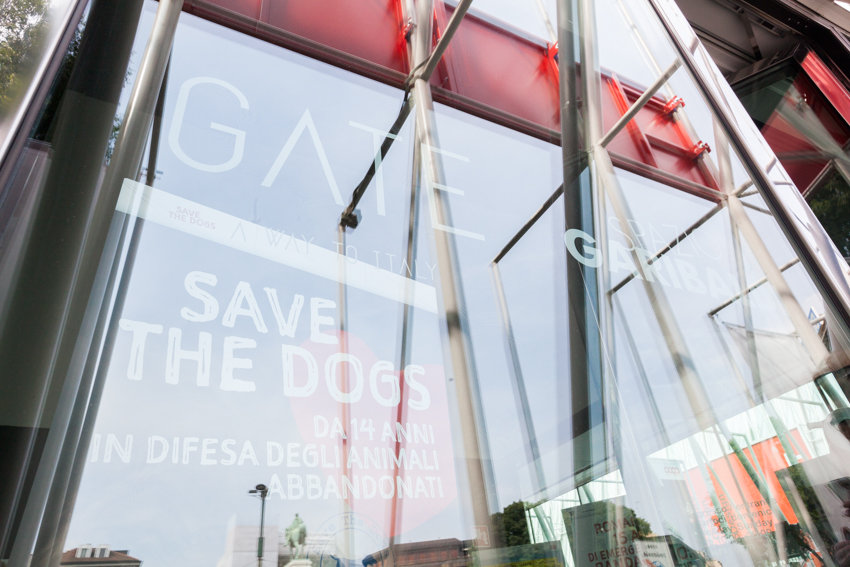 Save the Dogs and other Animals al Gate – 05 luglio 2016