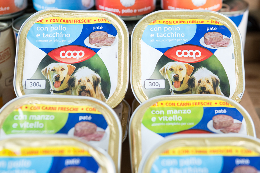Save the Dogs and other Animals al Gate – 05 luglio 2016