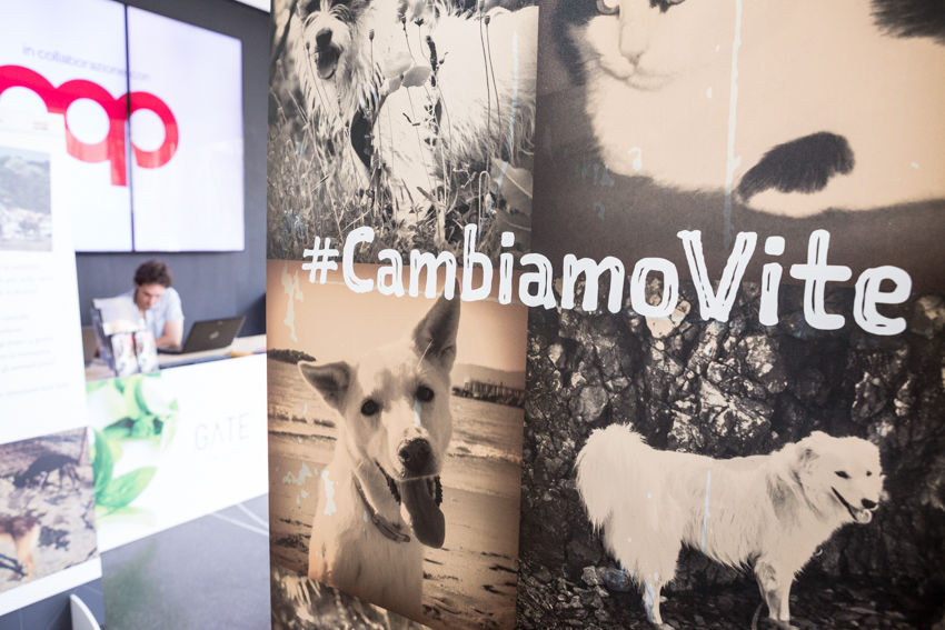 Save the Dogs and other Animals al Gate – 05 luglio 2016