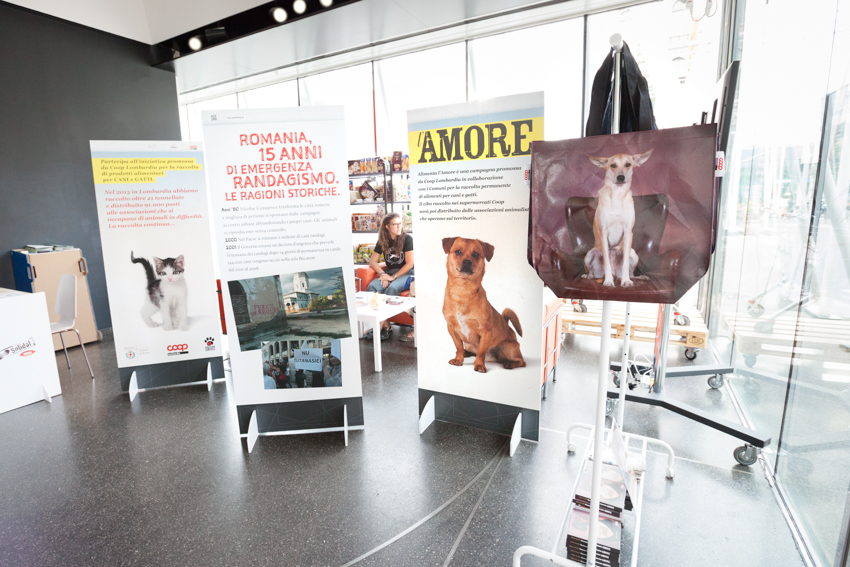 Save the Dogs and other Animals al Gate – 05 luglio 2016