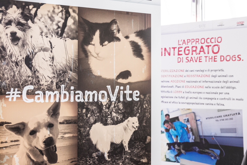 Save the Dogs and other Animals al Gate – 05 luglio 2016