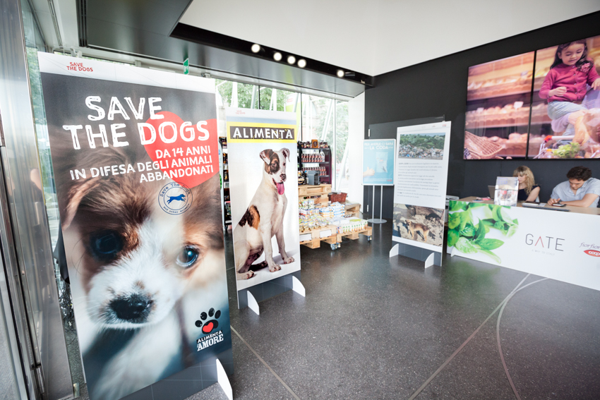 Save the Dogs and other Animals al Gate – 05 luglio 2016