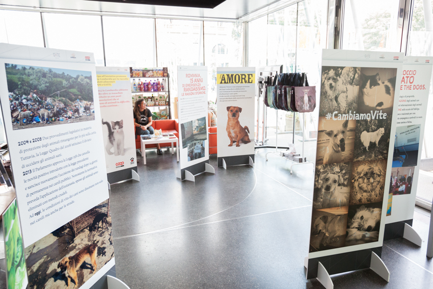 Save the Dogs and other Animals al Gate – 05 luglio 2016