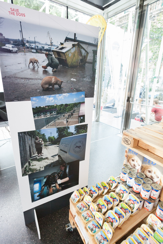 Save the Dogs and other Animals al Gate – 05 luglio 2016