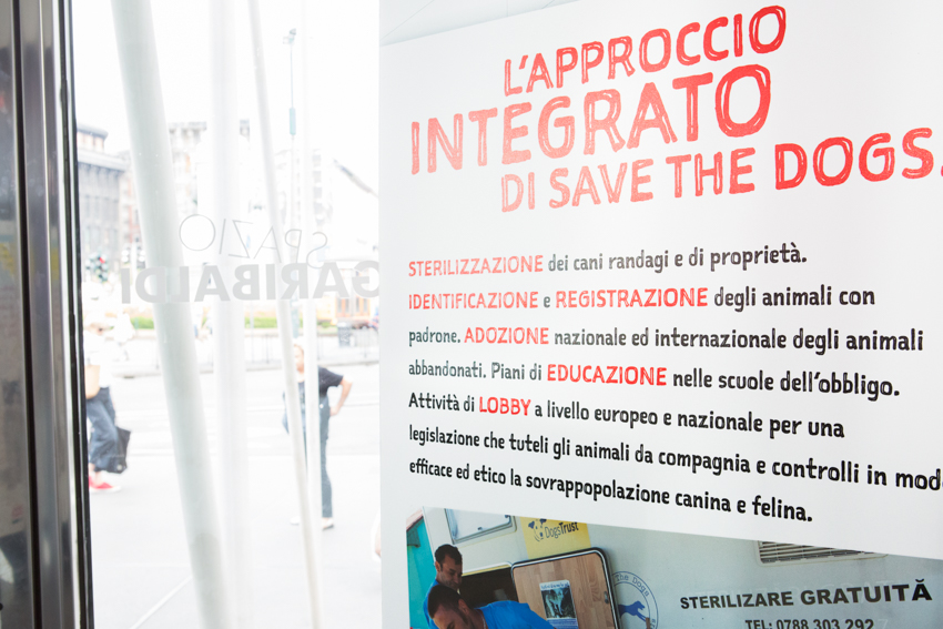 Save the Dogs and other Animals al Gate – 05 luglio 2016