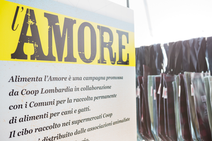 Save the Dogs and other Animals al Gate – 05 luglio 2016